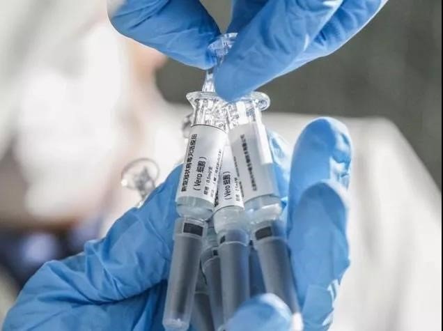 张文宏冷静判断：没有发现感染变异病毒更严重，疫苗无效可能性不大